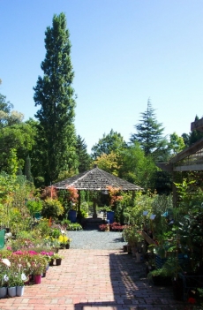 Photo of the old Rosemont site